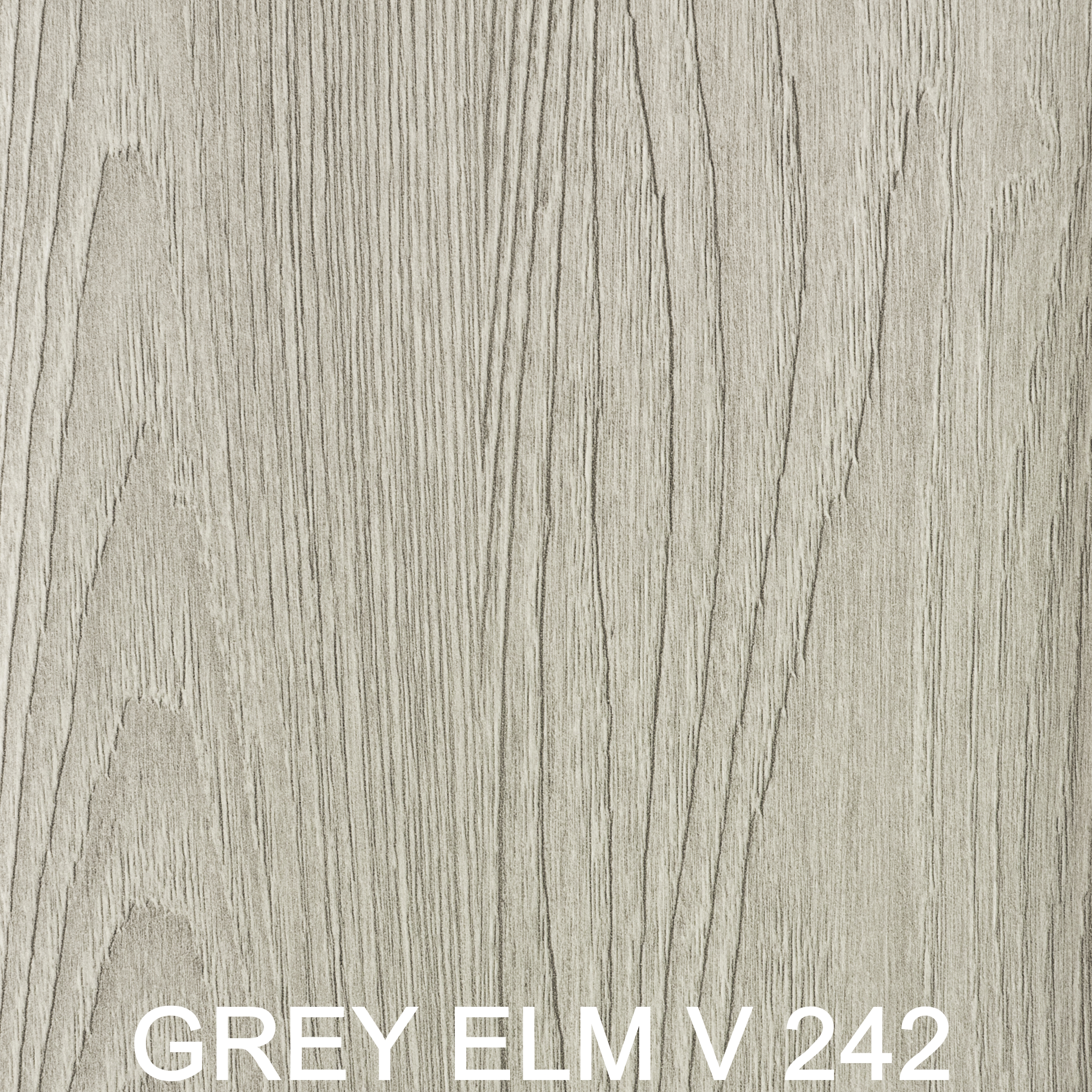 Grey elm V